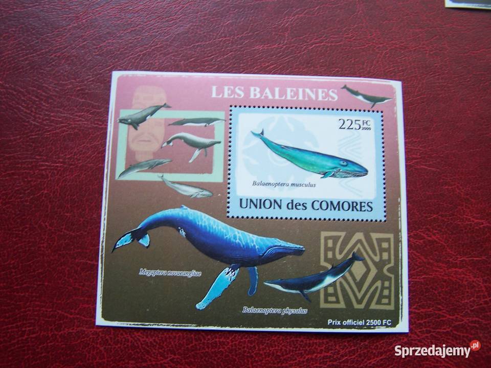 Komory 2009 MNH Wieloryb 2 Tychy