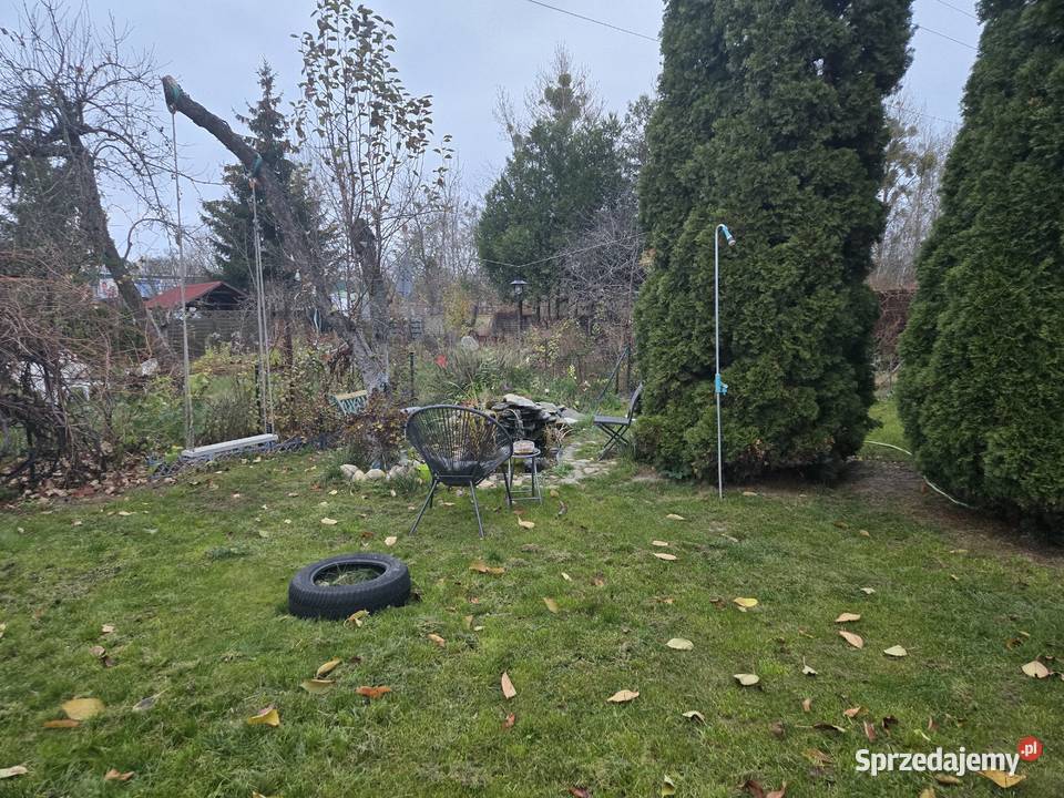 Syndyk sprzeda udział 12 w prawie do dzierżawy Poznań