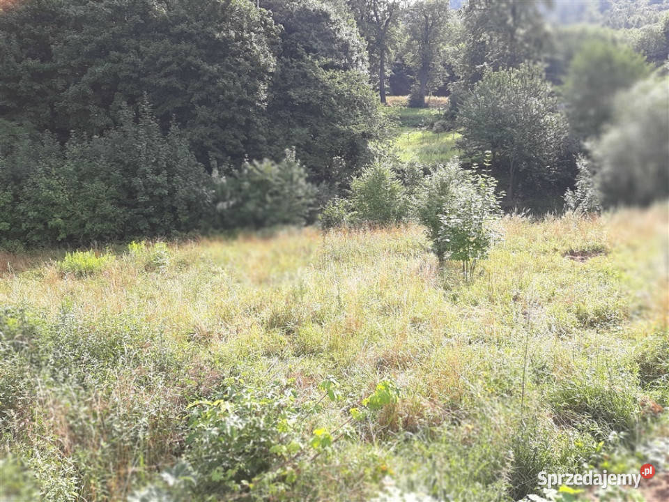 Działka Wałbrzych Sprzedaż sprzedam