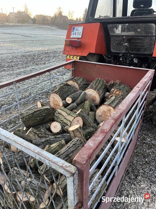 Przyczepka zawieszana bidka Legnica