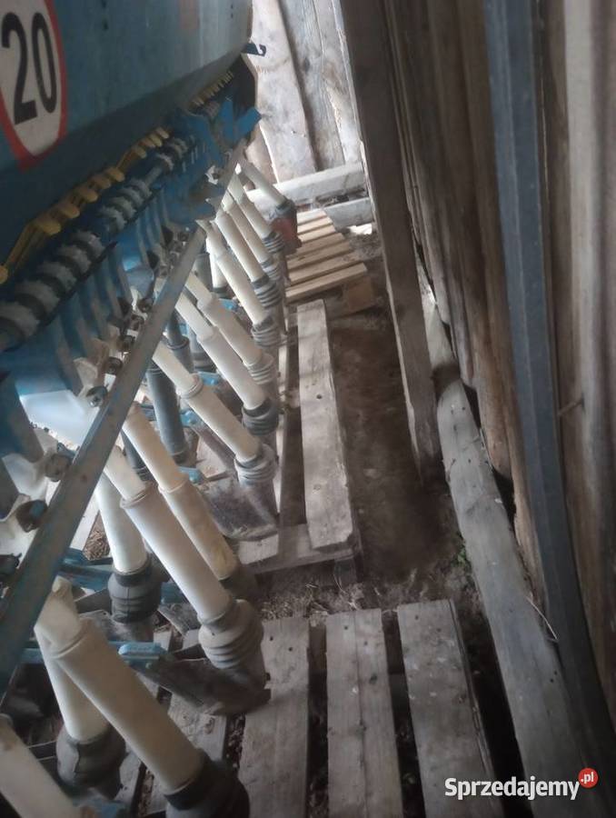 Siewnik Poznaniak podlaskie Szepietowo