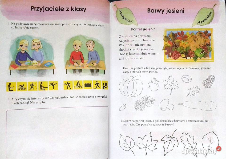 Pisz razem z nami Ćwiczenia redakcyjne uczniów Chełm sprzedam