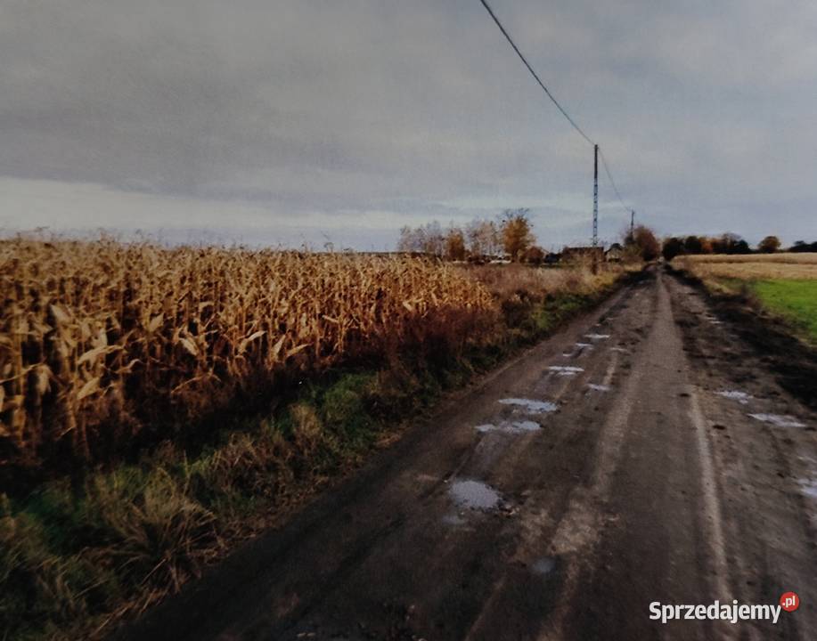 Syndyk sprzeda niezabudowaną działkę I przetarg Gorzów Wielkopolski