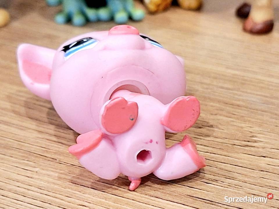 Świnka Littlest Pet Shop Hasbro Braniewo