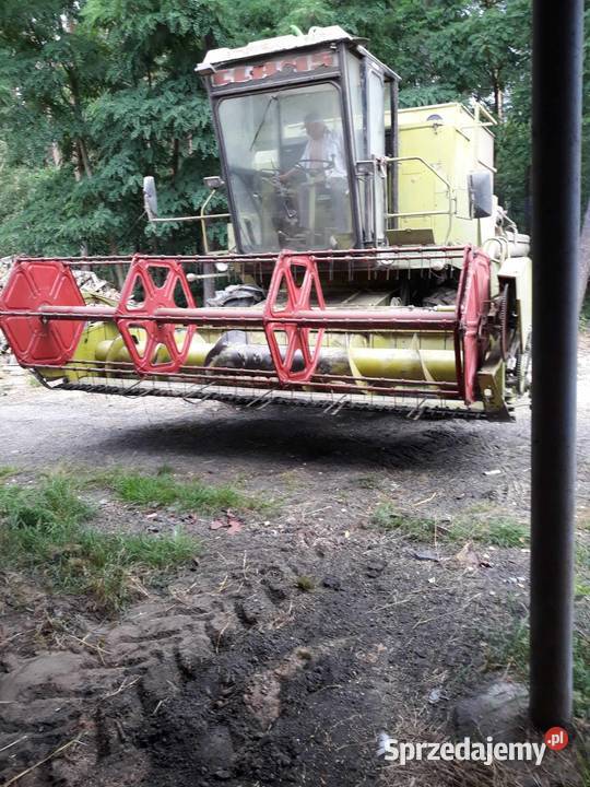 Claas dominator 75 Claas Zbożowe mazowieckie Narty