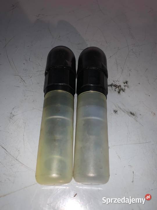 Pressure Relief Valve Rexroth DBDS 6 K1C50 mazowieckie