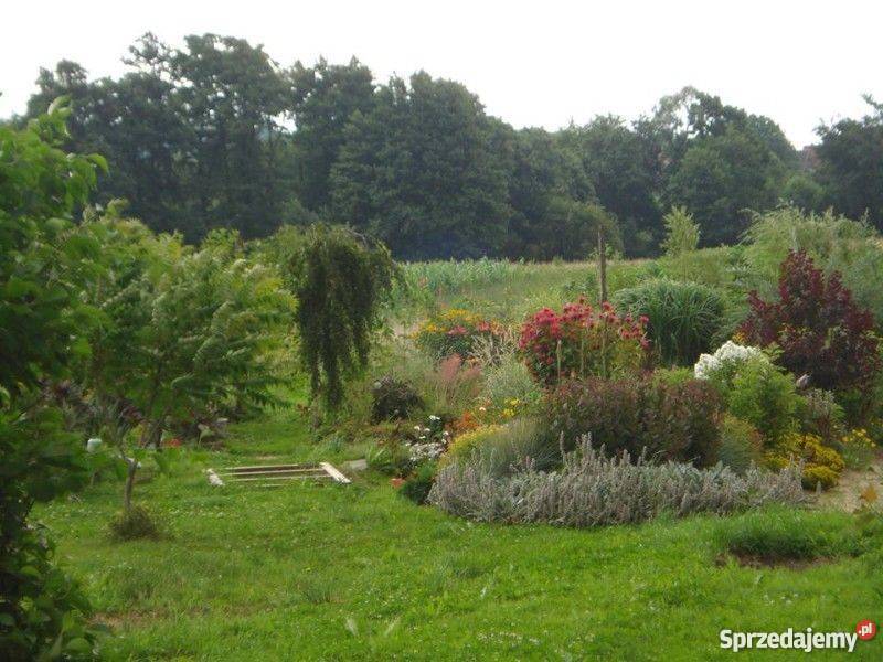 Działka budowlaną 28a Kokotów gmWieliczka