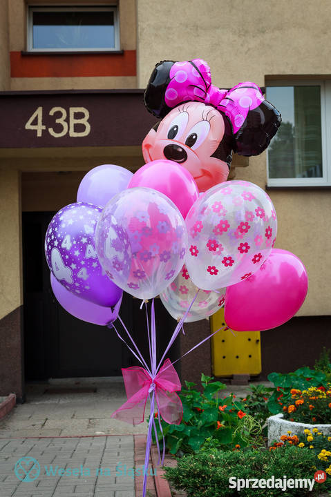 Bajkowe balony foliowe z helem Katowicez dostawą Katowice