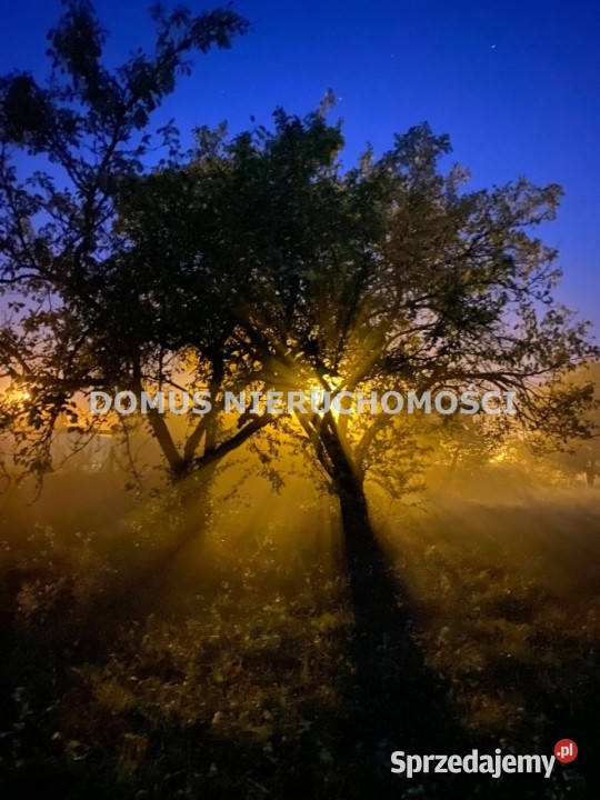 Grunt na sprzedaż Rogów 1500m2 Sprzedaż sprzedam