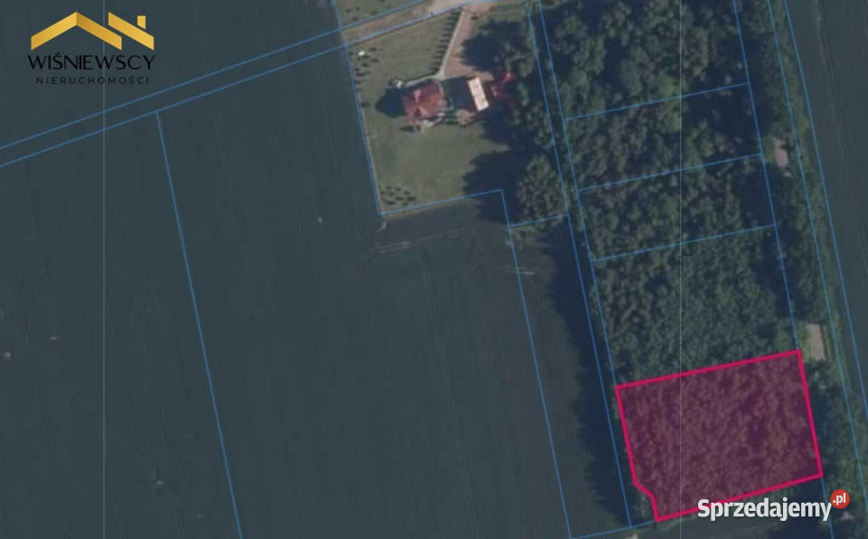 Działka 5306 m Dawidy