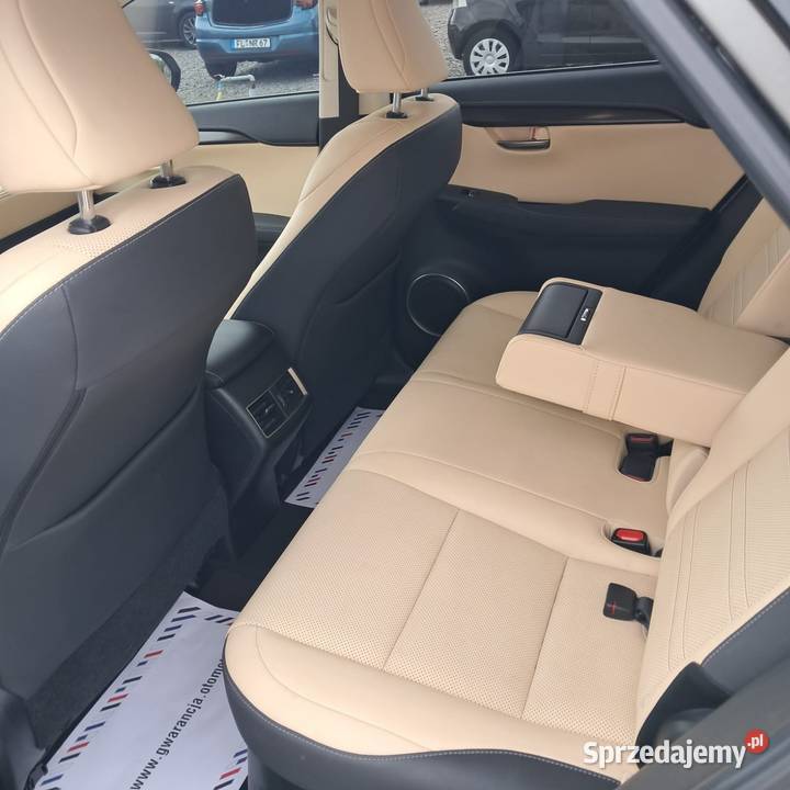 Lexus NX 300 Premium Niski przebieg Skóry Stan Chełm