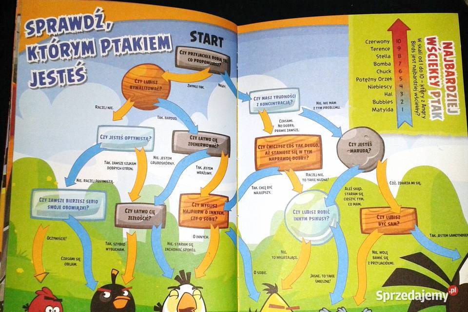 Angry Birds Kolorowy świat Oficjalny przewodnik Rok wydania 2014 Chełm