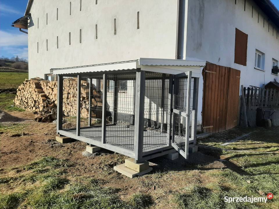 Kojec psa Dla psów Jordanów