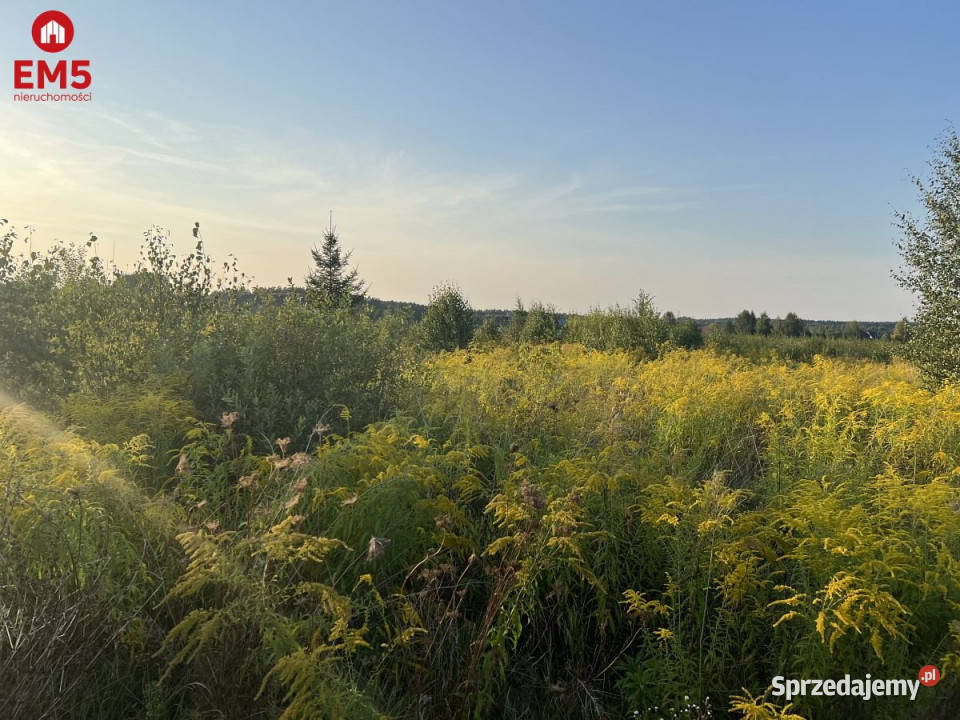 Działka Morze 4400m2 11zł/m2