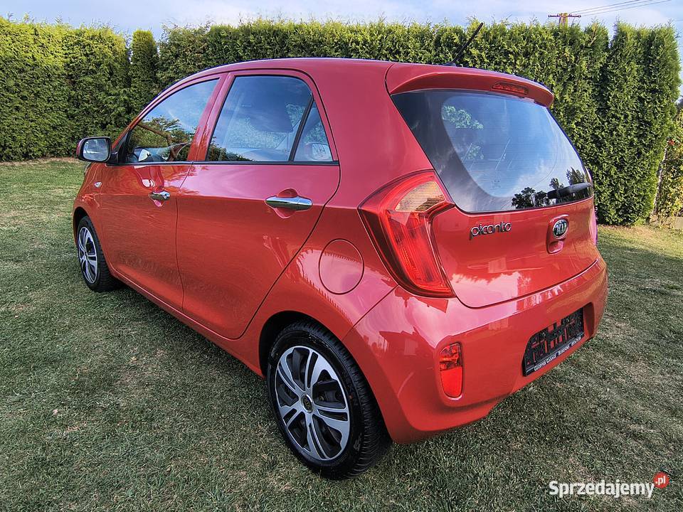 Kia Picanto Benzyna 10 Mega kolor zadbany Iwonicz