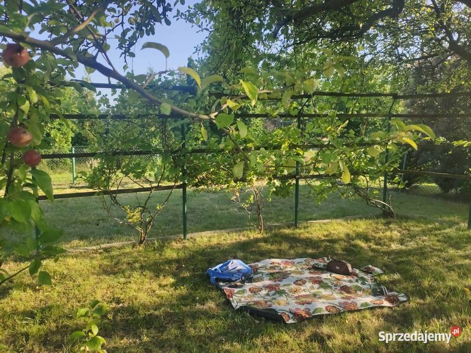 SPRZEDAM DUŻĄ DZIAŁKĘ 420m2 ROD Kolejarz 45zł/m2 Sprzedaż sprzedam