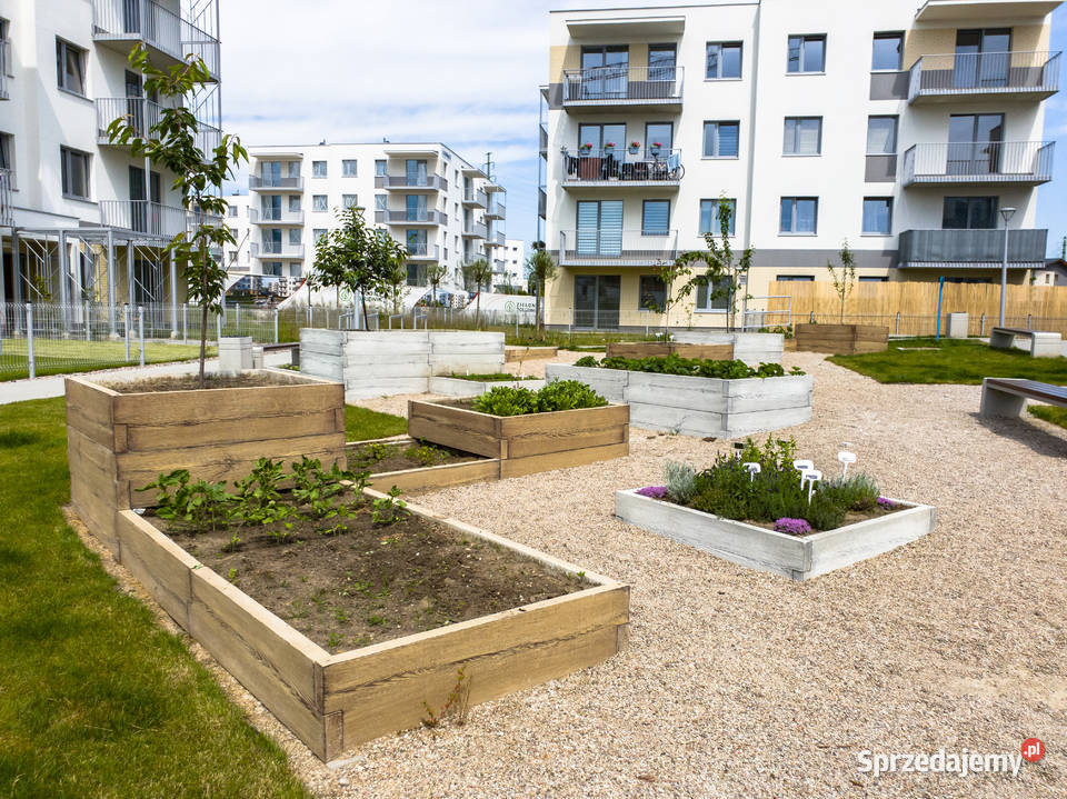 Skrzynie na warzywa do ogrodu podwyższone Rzeszów