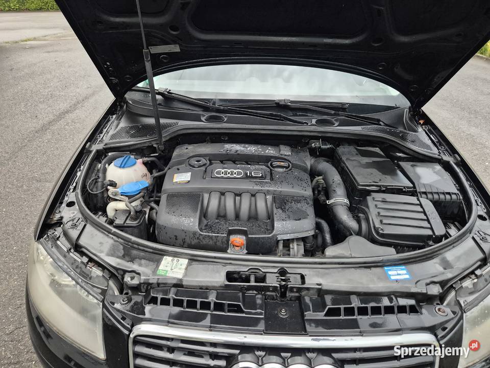 AUDI A3 8P 16 Benzyna 3drzwi 2004 ESP podkarpackie Haczów