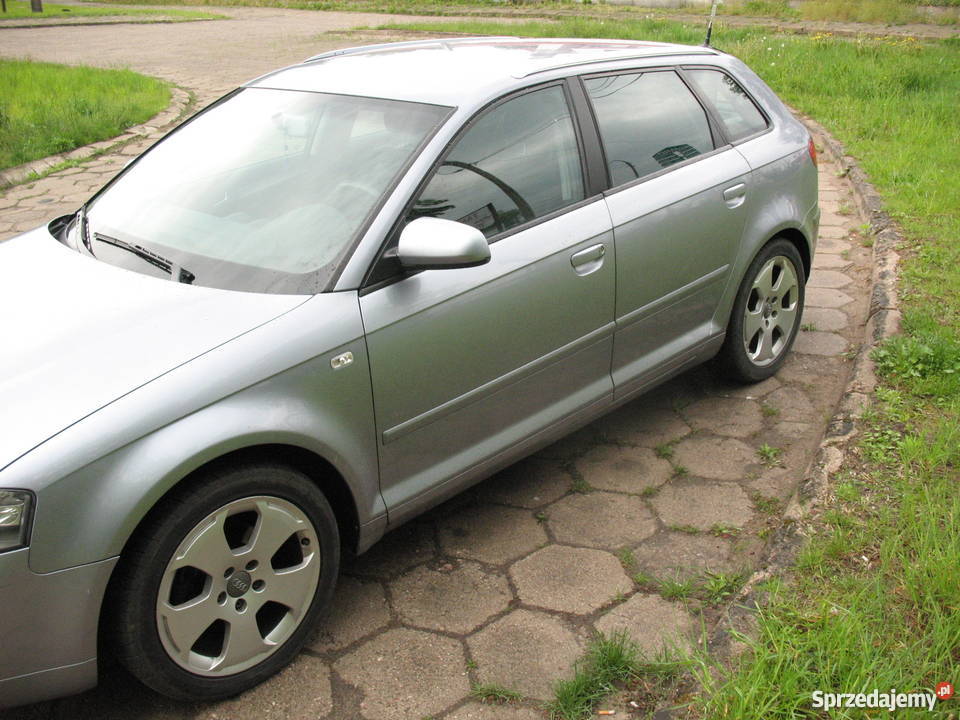 Audi A3 II 8P 19 TDI Ambiente 2006r 1896cm3