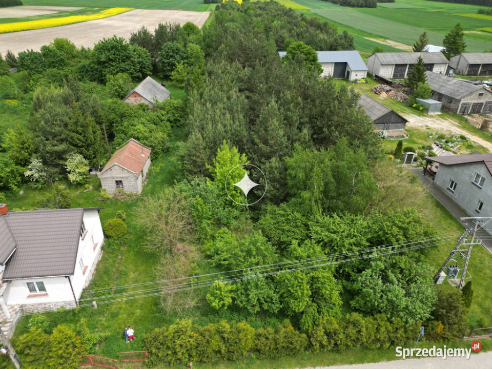Działka Siedliskowa w Ruskowie 2791m2 asfalt Sprzedaż Rusków
