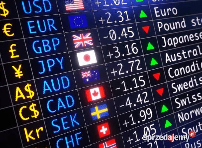 Automatyczny trading i boty giełdowe Zbuduj podkarpackie Rzeszów