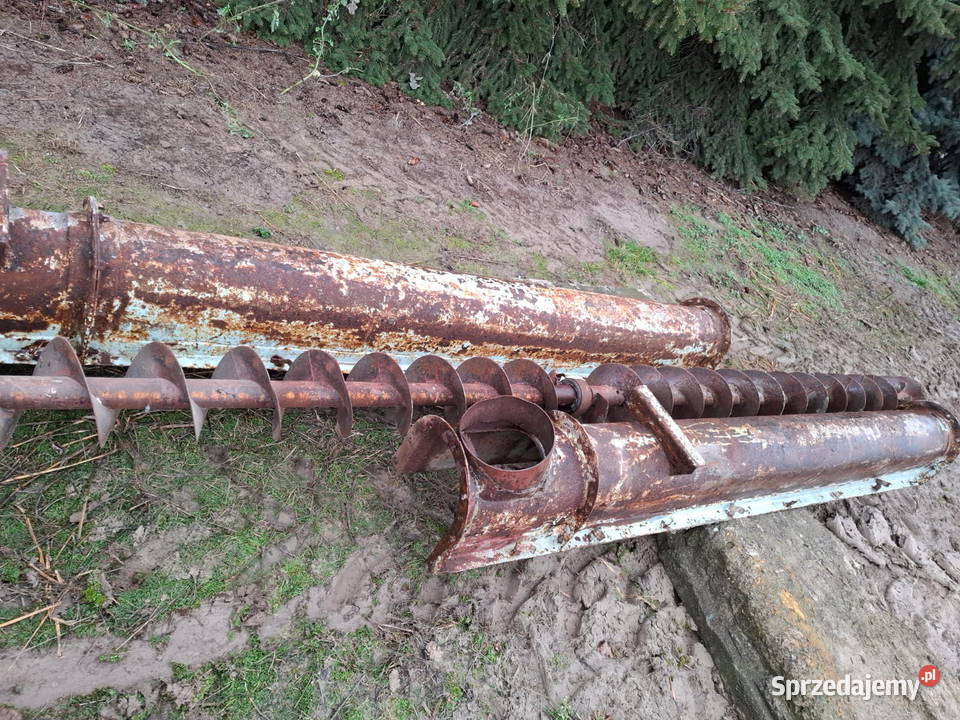 Redler podajnik żmijka Hołużne