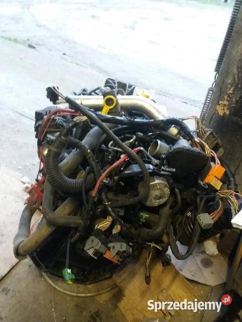 Renault 15 dCi silnik Dobra sprzedam