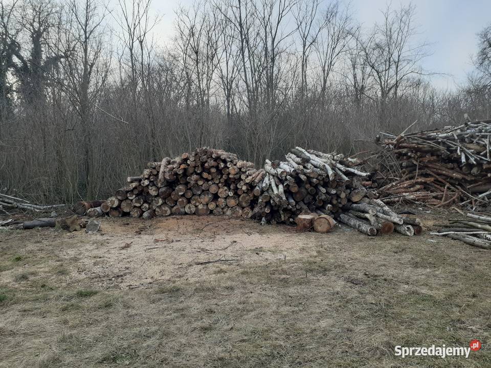 Drewno kominkowe akacja czeremcha Opał Brzeg Dolny