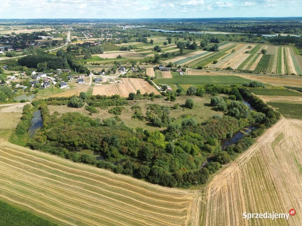 Mazowieckie 65 ha terenu inwestycyjnego Sprzedaż Gniewoszów
