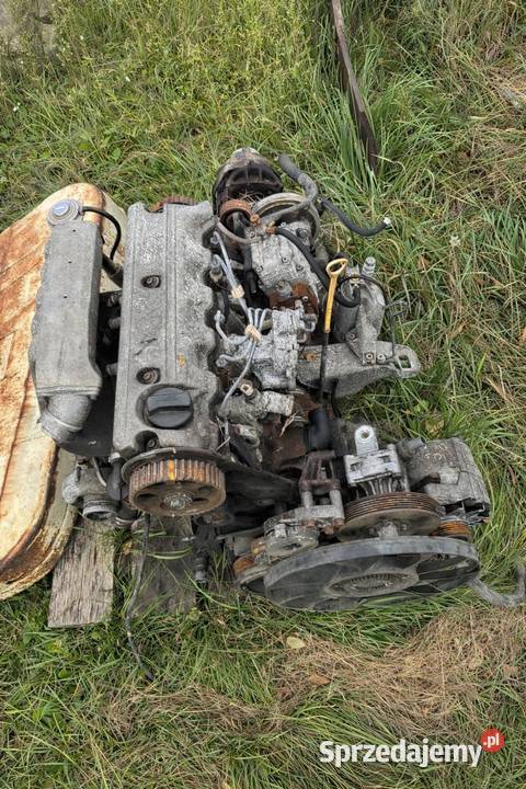silnik 25 tdi r5 z skrzynią manualną 5 biegową osobowe Terespol
