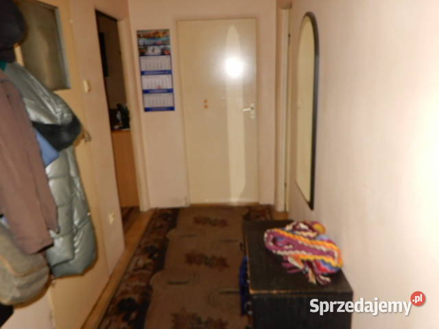 Syndyk sprzeda udział w nieruchomości i udział w Szczecin