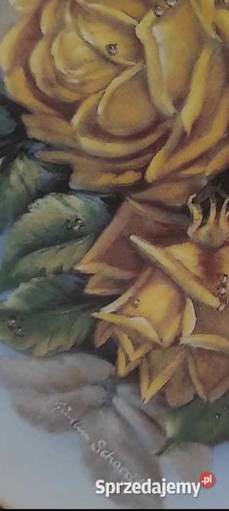 Frstenberg Najpiękniejsze stare różetalerz Pabianice