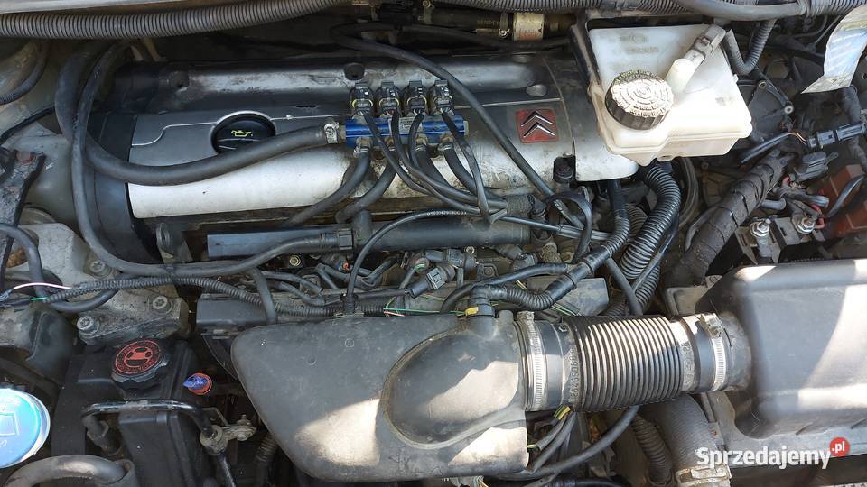 Citroen Xsara Picasso 18 Lpg Xsara Picasso Czarna