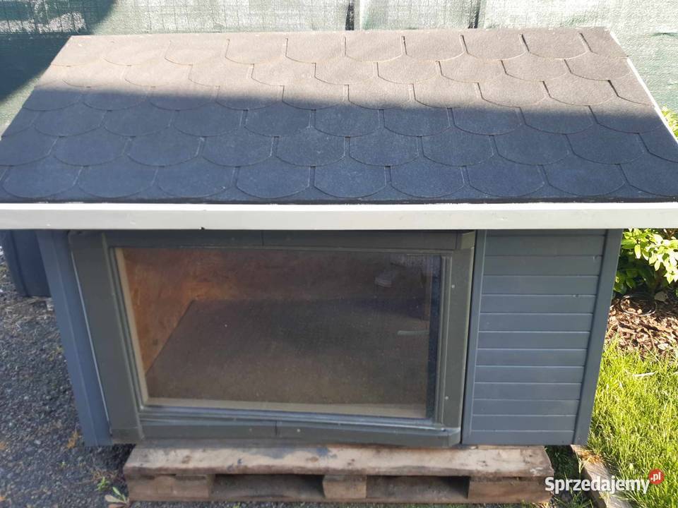 Buda psa xxxl Dla psów