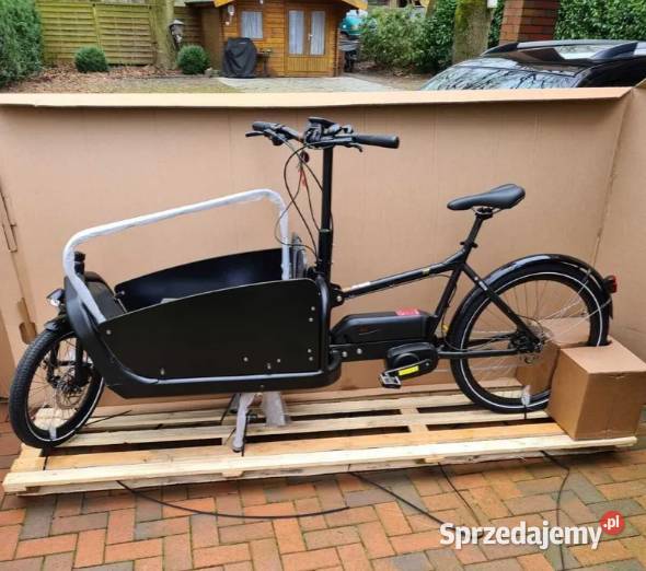 Rower elektryczny cargo towarowy do dzieci Siedlisko