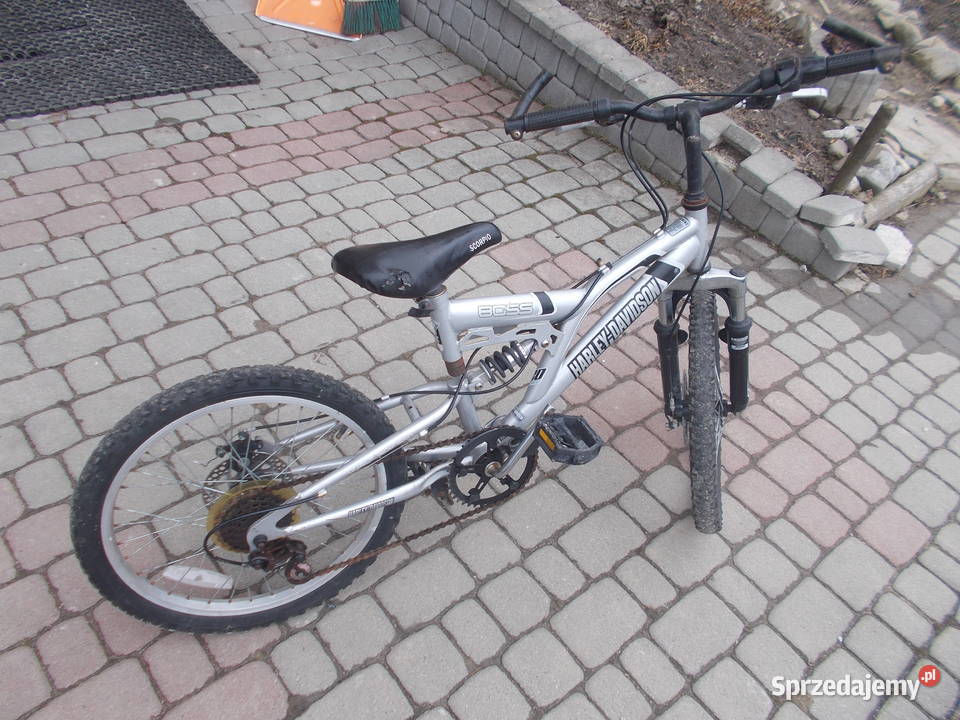 rower harley davidson 170 zl Rowerki Nowy Targ sprzedam