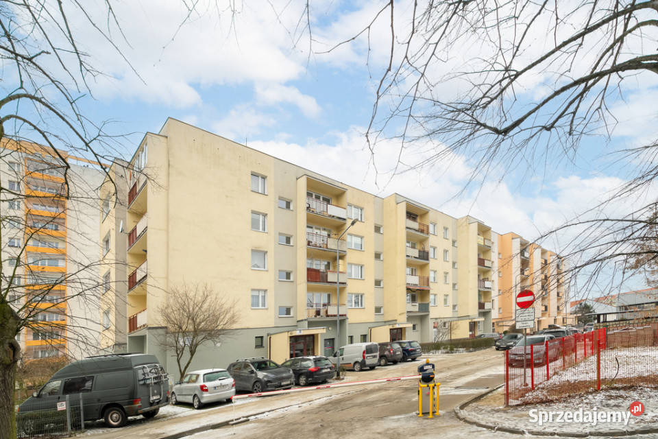 Darmowe cardio i zero tupania głową Szczecin
