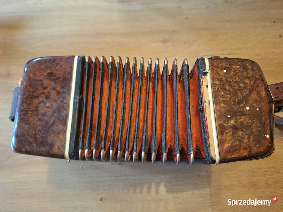 Akordeon Harmonia guzikowa