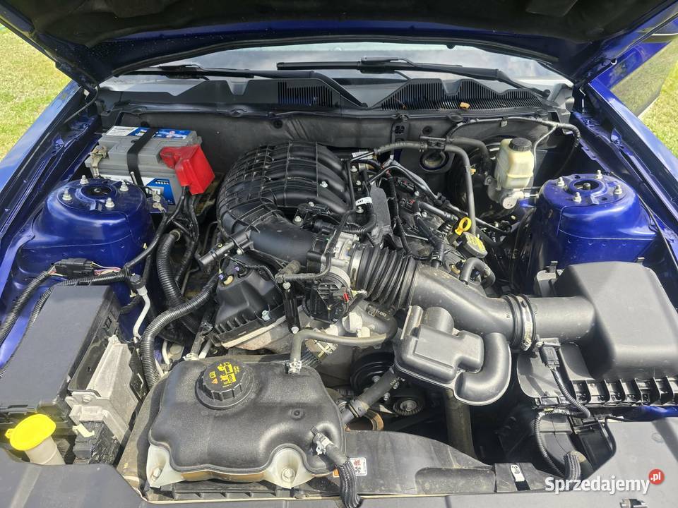 Ford Mustang Premium Pony benzyna Motoryzacja Łódź sprzedam