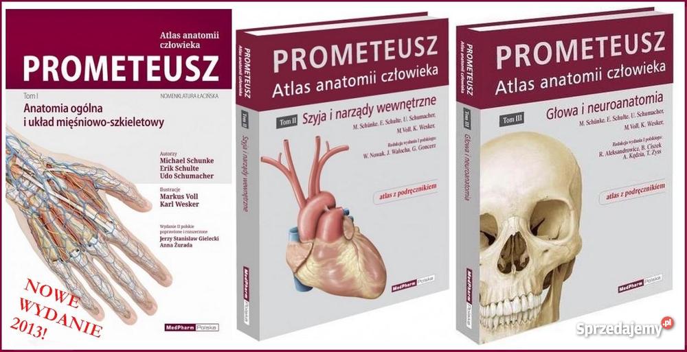 Atlas Prometeusz też w wersji anglojęzycznej Thi Wrocław