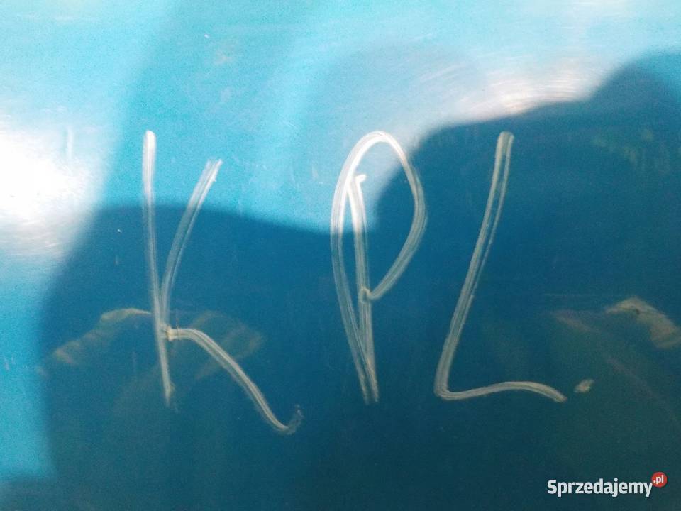 RENAULT KANGOO II III 10r 15 DCI drzwi prawe tyl Drzwi Suków