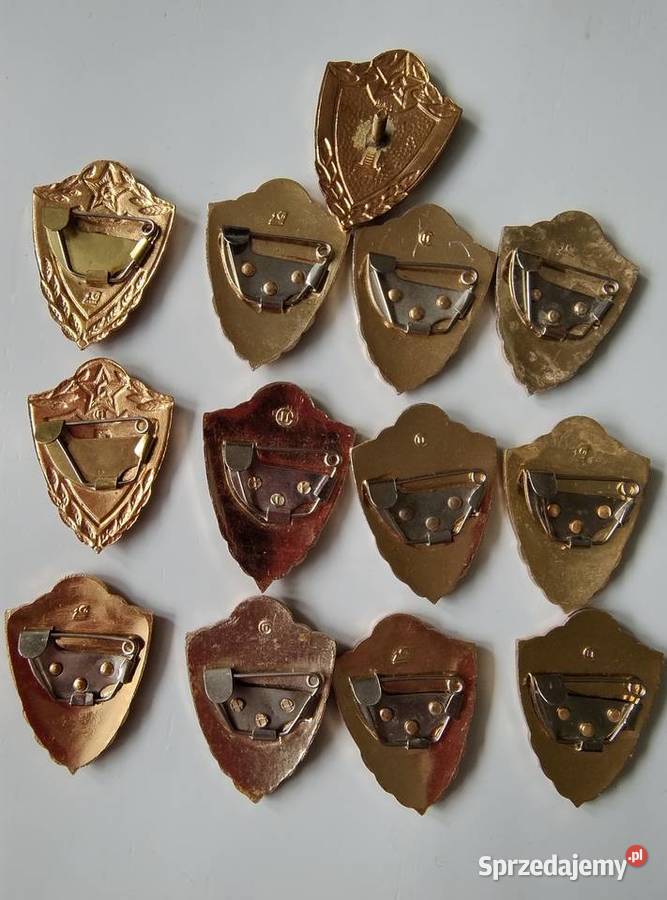 Odznaczenia rosyjskie