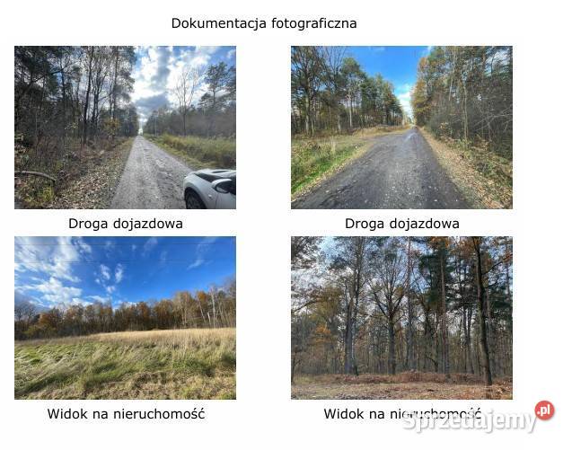 Syndyk sprzeda nieruchomość gruntową Myszków