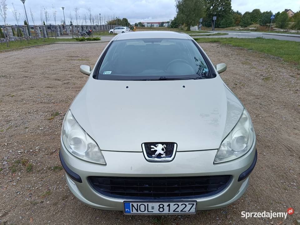 Peugeot 407 BG 20 136 2006 Sedan Motoryzacja