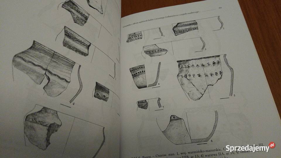 Pruthenia pismo poświęcone Prusom i ludom pomorskie