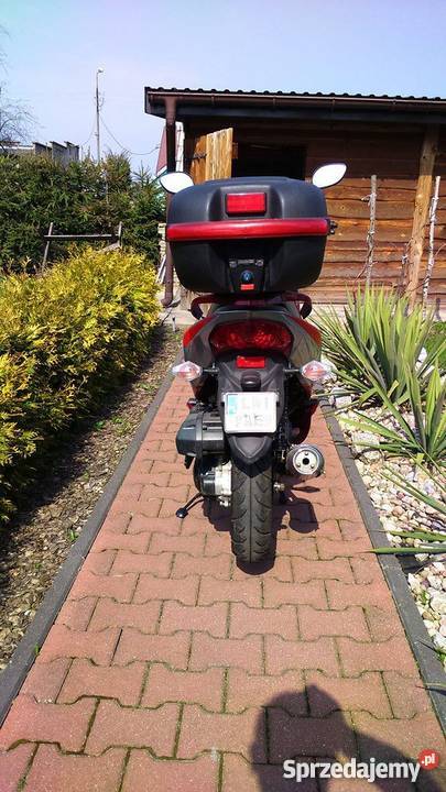 Skuter Router Traffico 2 2400km Romet Terespol