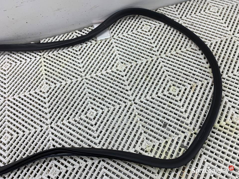 USZCZELKA DRZWI TYŁ PRAWA BMW G30 SedanLimuzyna sprzedam