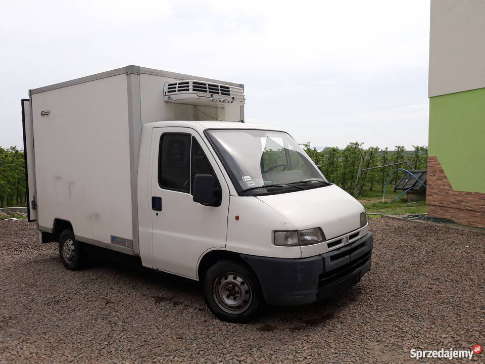 Citron Jumper 25D chłodnia Raciechowice