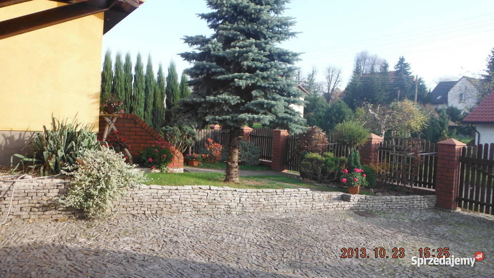 dom w Szewcach mieszkalny dolnośląskie Szewce sprzedam