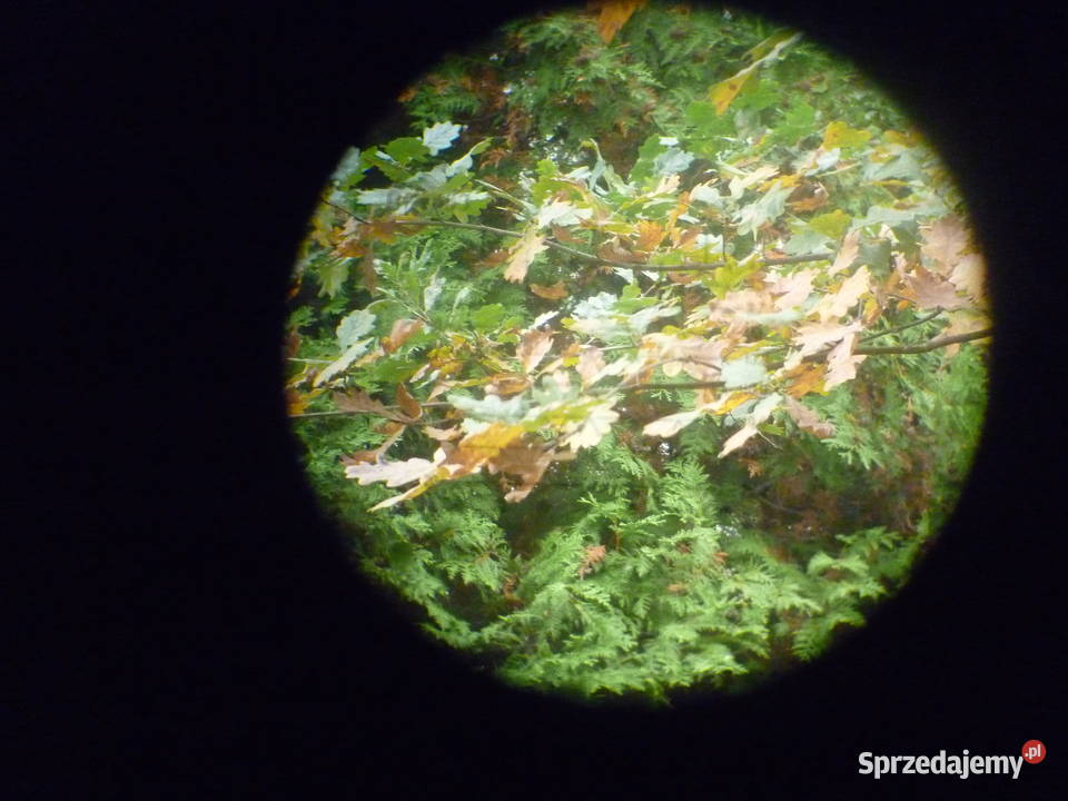 Celownik PGO9H podkarpackie Dębica